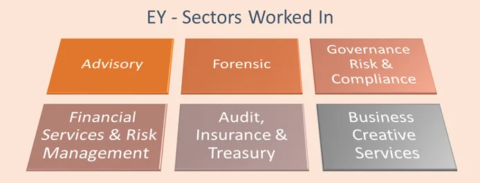 ERNST YOUNG CS1
