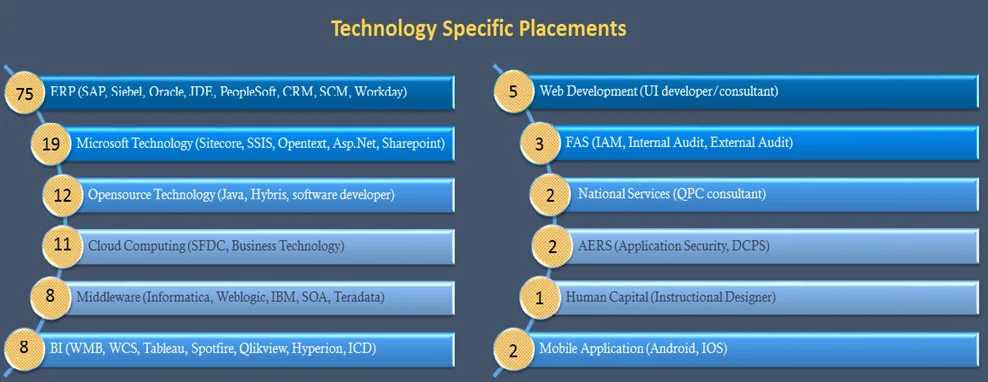 Professional Services – DELOITTE CS1
