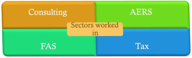 Professional Services – DELOITTE CS2
